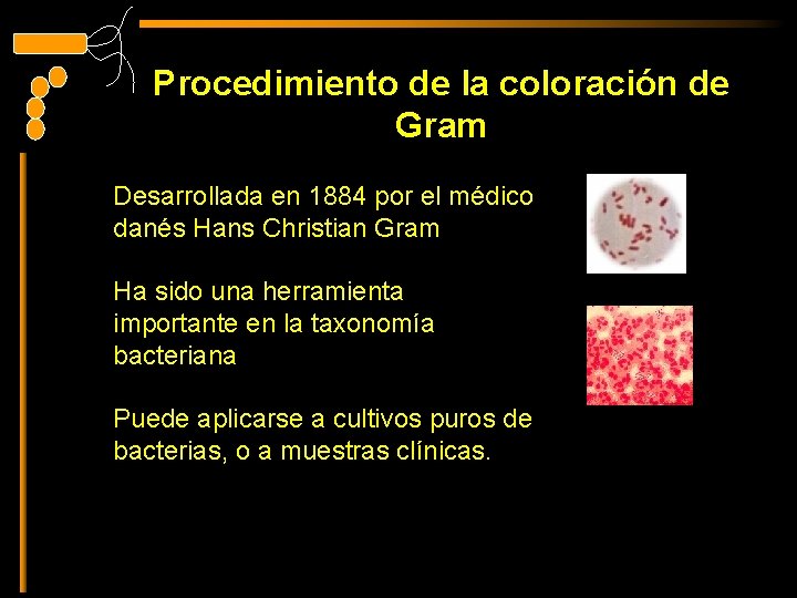 Procedimiento de la coloración de Gram Desarrollada en 1884 por el médico danés Hans