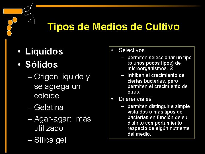 Tipos de Medios de Cultivo • Líquidos • Sólidos – Origen líquido y se