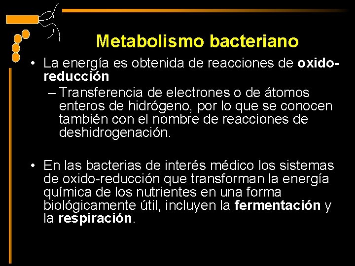 Metabolismo bacteriano • La energía es obtenida de reacciones de oxidoreducción – Transferencia de