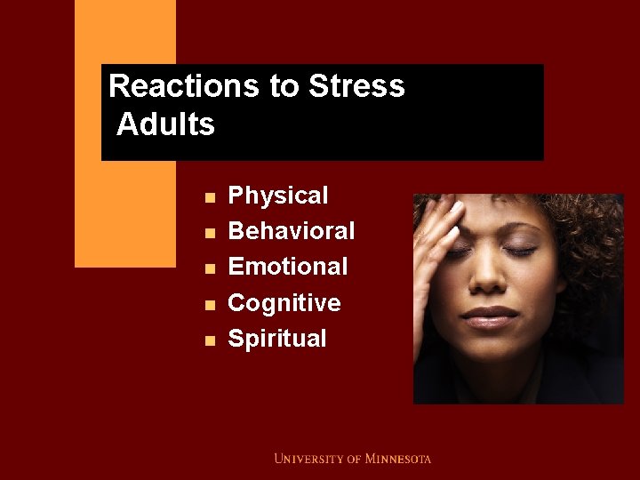 Reactions to Stress Adults n n n Physical Behavioral Emotional Cognitive Spiritual 