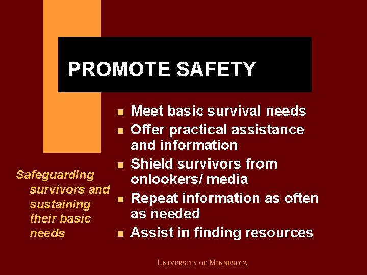 PROMOTE SAFETY n n Safeguarding survivors and sustaining their basic needs n n n