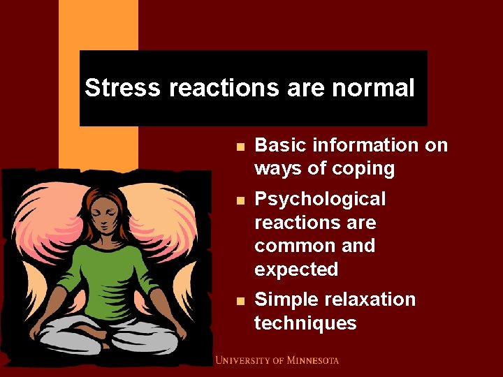 Stress reactions are normal n Basic information on ways of coping n Psychological reactions