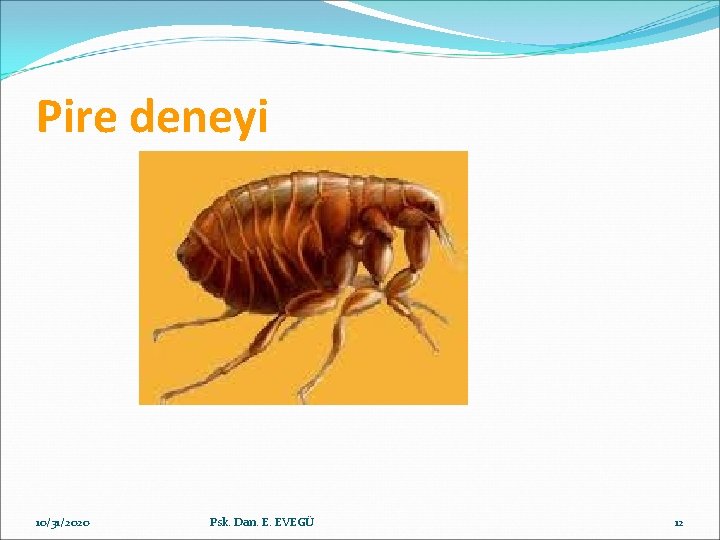 Pire deneyi 10/31/2020 Psk. Dan. E. EVEGÜ 12 