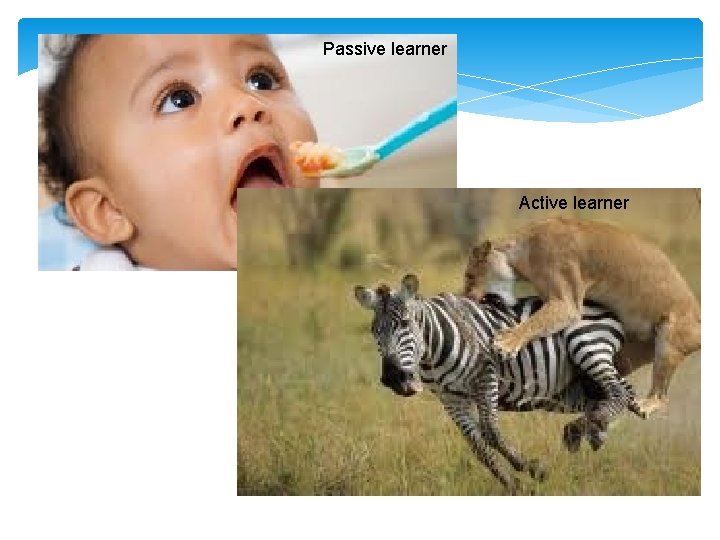 Passive learner Active learner 