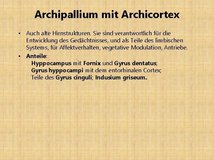 Archipallium mit Archicortex • Auch alte Hirnstrukturen. Sie sind verantwortlich für die Entwicklung des