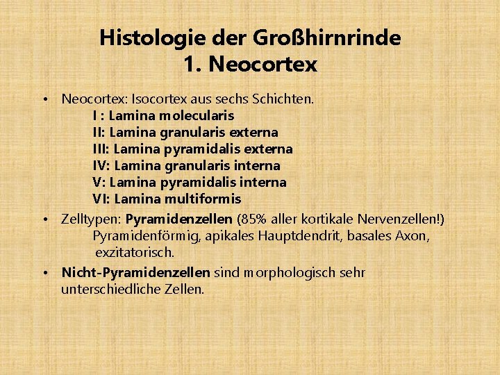 Histologie der Großhirnrinde 1. Neocortex • Neocortex: Isocortex aus sechs Schichten. I : Lamina