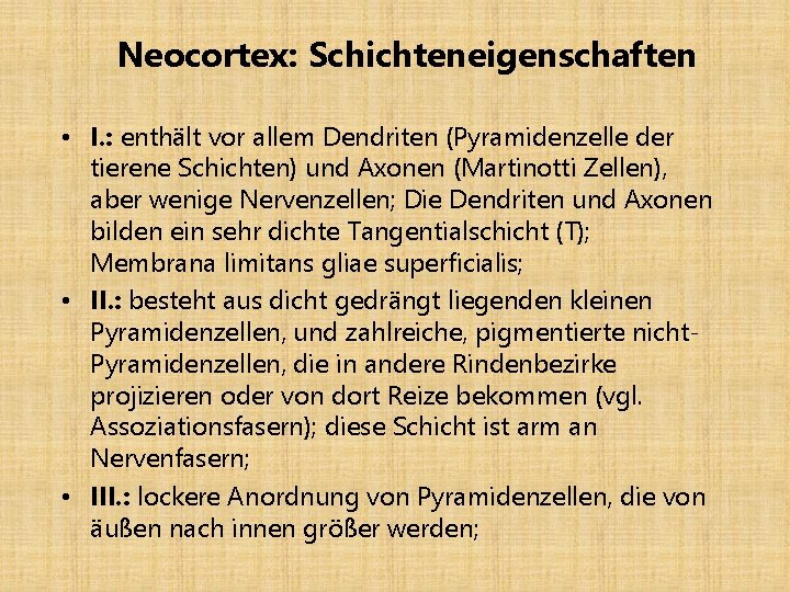 Neocortex: Schichteneigenschaften • I. : enthält vor allem Dendriten (Pyramidenzelle der tierene Schichten) und