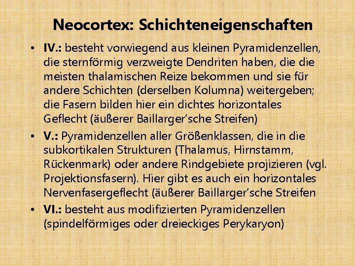 Neocortex: Schichteneigenschaften • IV. : besteht vorwiegend aus kleinen Pyramidenzellen, die sternförmig verzweigte Dendriten