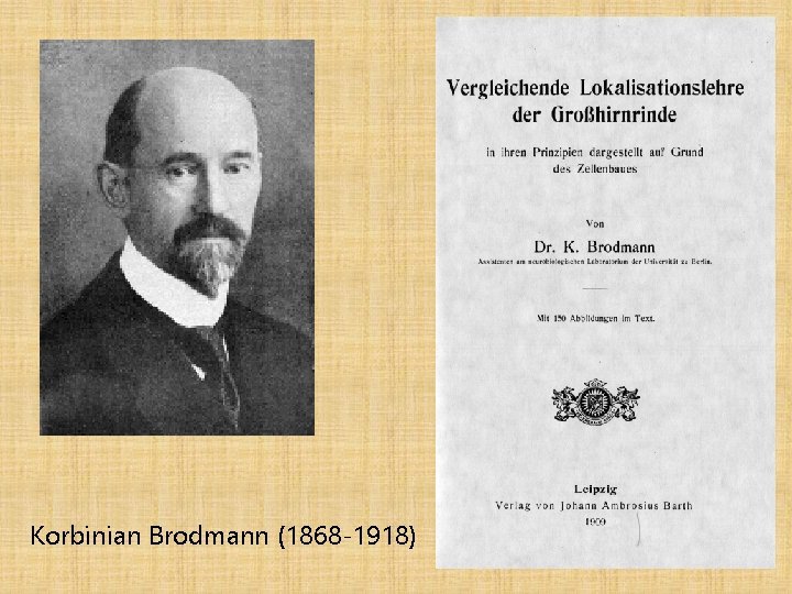 Korbinian Brodmann (1868 -1918) 