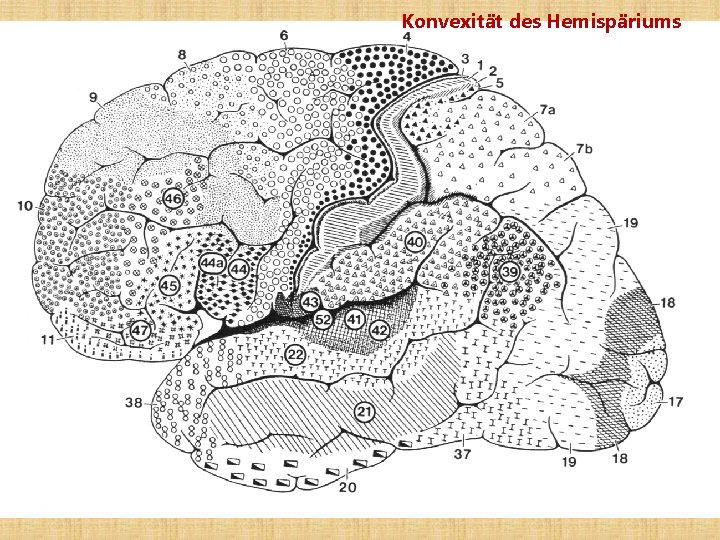 Konvexität des Hemispäriums 