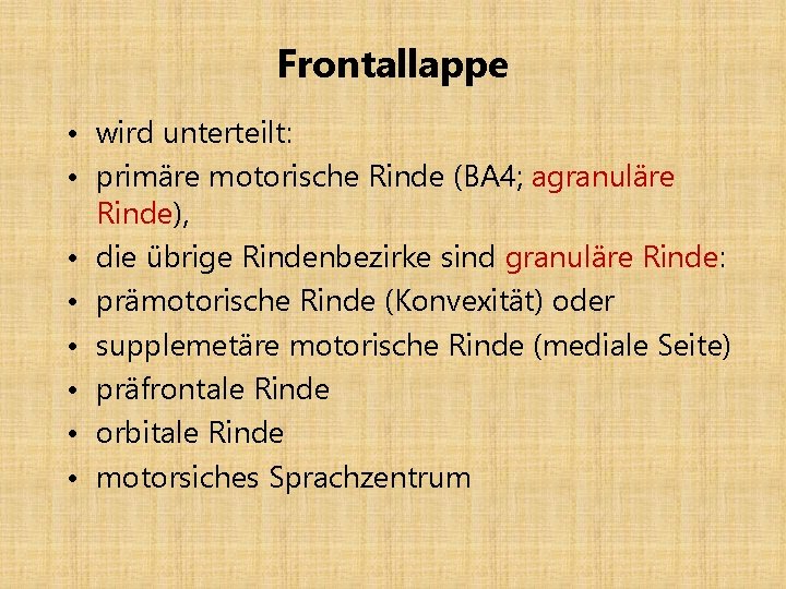 Frontallappe • wird unterteilt: • primäre motorische Rinde (BA 4; agranuläre Rinde), • die