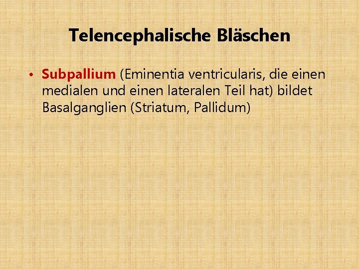 Telencephalische Bläschen • Subpallium (Eminentia ventricularis, die einen medialen und einen lateralen Teil hat)