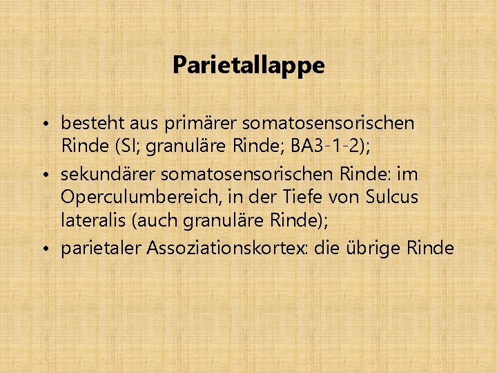 Parietallappe • besteht aus primärer somatosensorischen Rinde (SI; granuläre Rinde; BA 3 -1 -2);