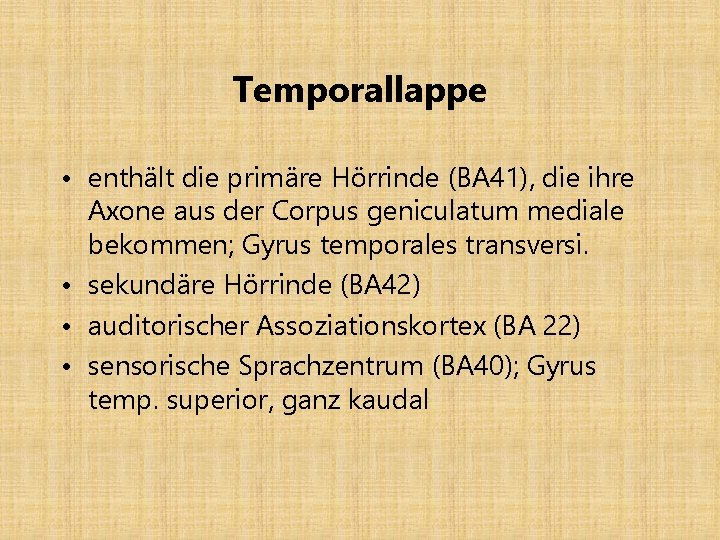 Temporallappe • enthält die primäre Hörrinde (BA 41), die ihre Axone aus der Corpus