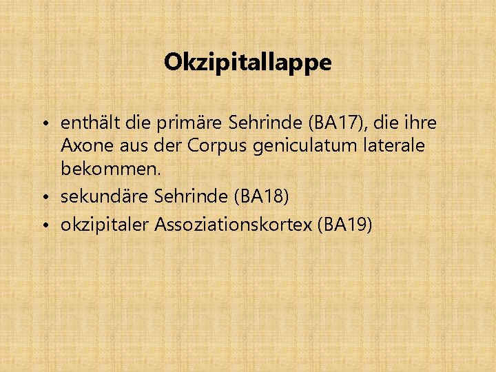 Okzipitallappe • enthält die primäre Sehrinde (BA 17), die ihre Axone aus der Corpus