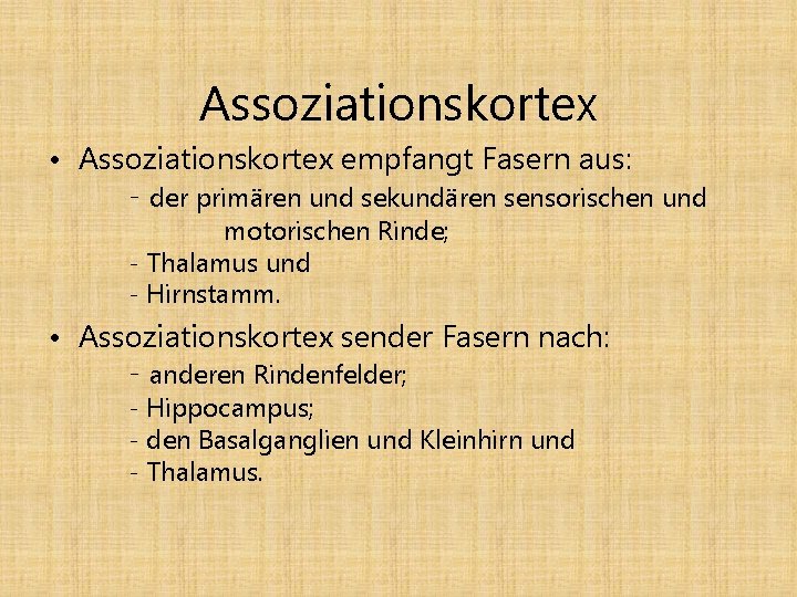 Assoziationskortex • Assoziationskortex empfangt Fasern aus: - der primären und sekundären sensorischen und motorischen