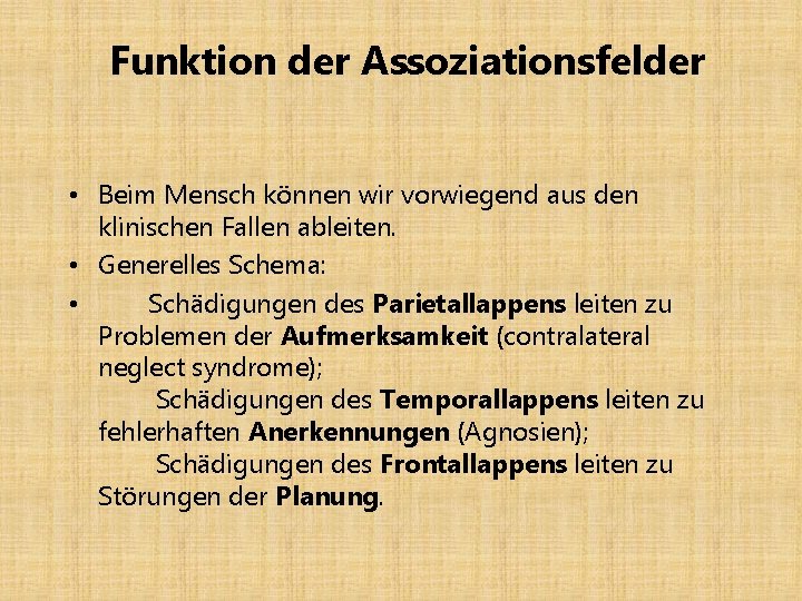 Funktion der Assoziationsfelder • Beim Mensch können wir vorwiegend aus den klinischen Fallen ableiten.