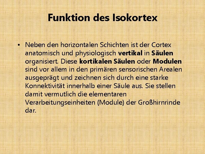 Funktion des Isokortex • Neben den horizontalen Schichten ist der Cortex anatomisch und physiologisch