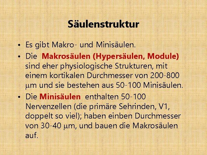 Säulenstruktur • Es gibt Makro- und Minisäulen. • Die Makrosäulen (Hypersäulen, Module) sind eher