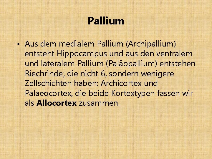 Pallium • Aus dem medialem Pallium (Archipallium) entsteht Hippocampus und aus den ventralem und