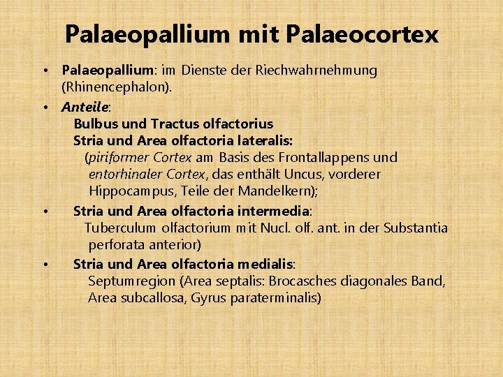 Palaeopallium mit Palaeocortex • Palaeopallium: im Dienste der Riechwahrnehmung (Rhinencephalon). • Anteile: Bulbus und