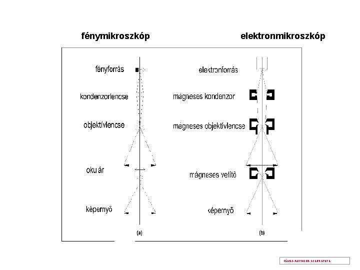 fénymikroszkóp elektronmikroszkóp FÉMES ANYAGOK SZERKETETE 