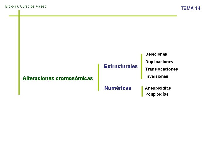 Biología. Curso de acceso TEMA 14 Deleciones Estructurales Duplicaciones Translocaciones Inversiones Alteraciones cromosómicas Numéricas