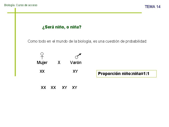 Biología. Curso de acceso TEMA 14 ¿Será niño, o niña? Como todo en el