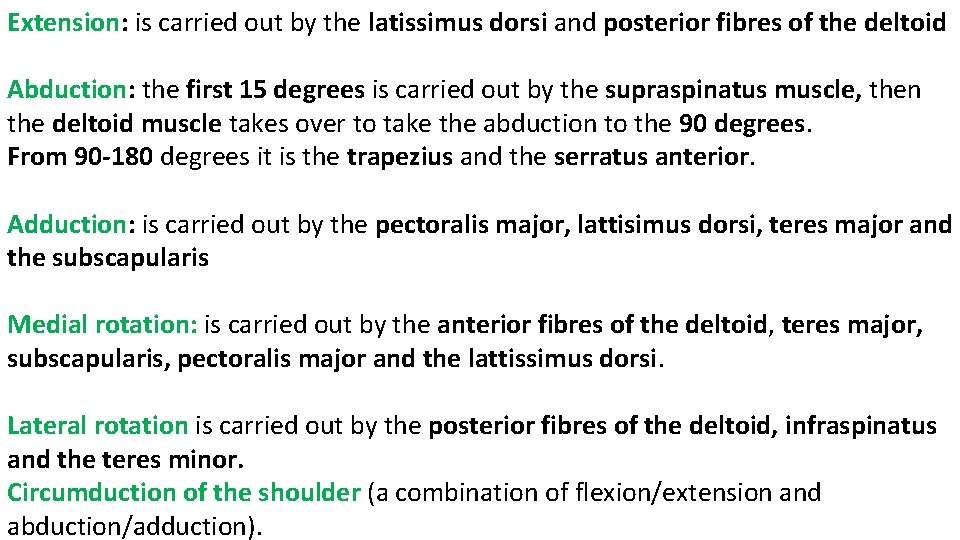 Extension: is carried out by the latissimus dorsi and posterior fibres of the deltoid