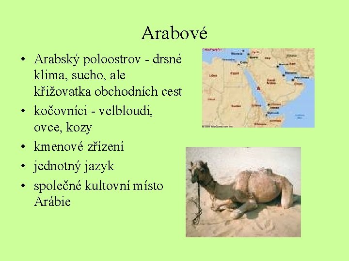 Arabové • Arabský poloostrov - drsné klima, sucho, ale křižovatka obchodních cest • kočovníci