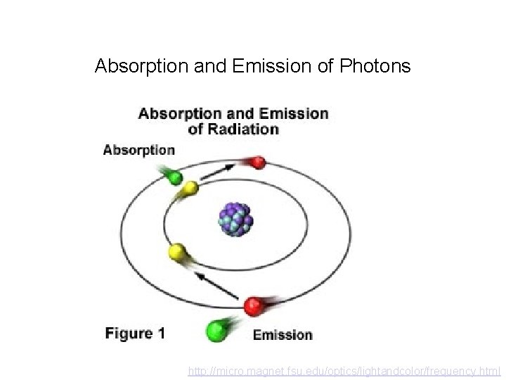 Absorption and Emission of Photons http: //micro. magnet. fsu. edu/optics/lightandcolor/frequency. html 