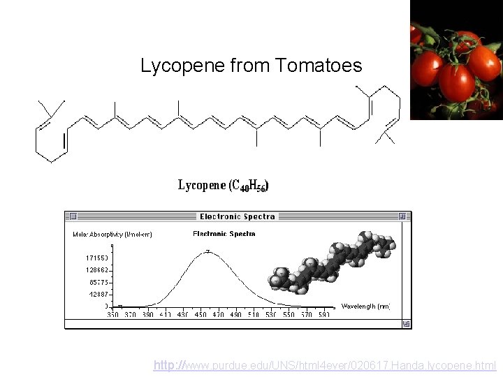 Lycopene from Tomatoes http: //www. purdue. edu/UNS/html 4 ever/020617. Handa. lycopene. html 