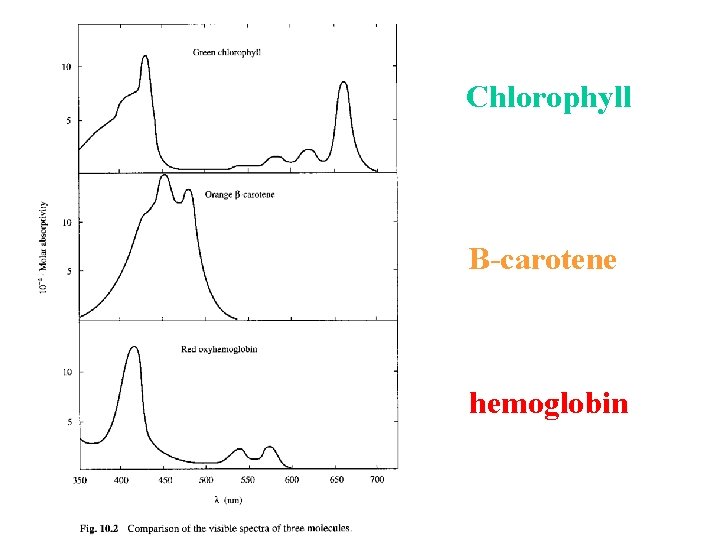 Chlorophyll B-carotene hemoglobin 