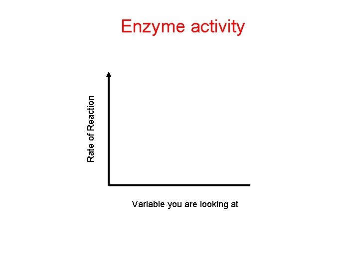 Rate of Reaction Enzyme activity Variable you are looking at  Rate of Reaction Enzyme activity Variable you are looking at