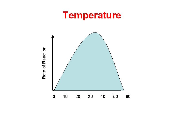 Rate of Reaction Temperature 0 10 20 30 40 50 60  Rate of Reaction Temperature 0 10 20 30 40 50 60
