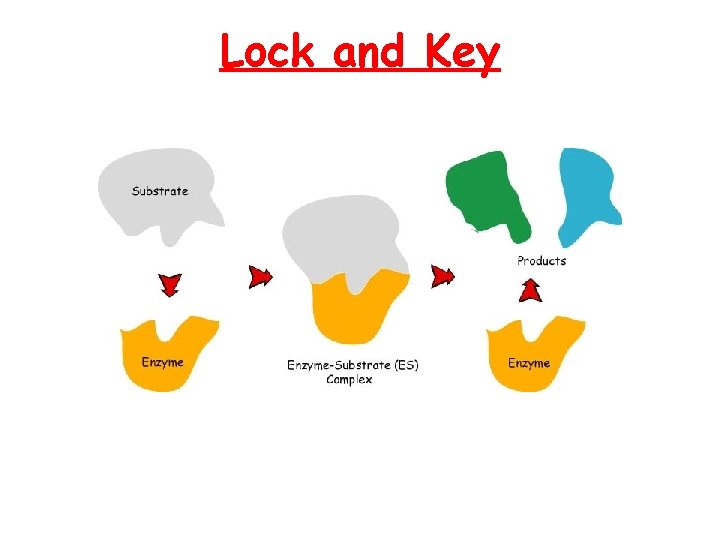 Lock and Key  Lock and Key