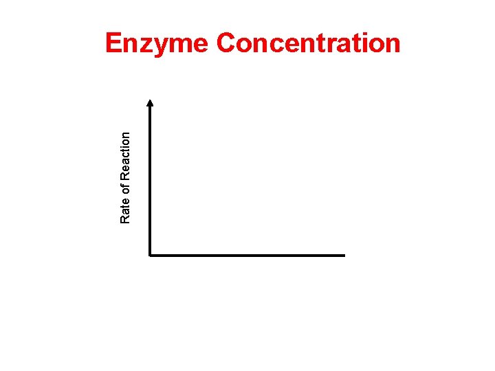 Rate of Reaction Enzyme Concentration  Rate of Reaction Enzyme Concentration