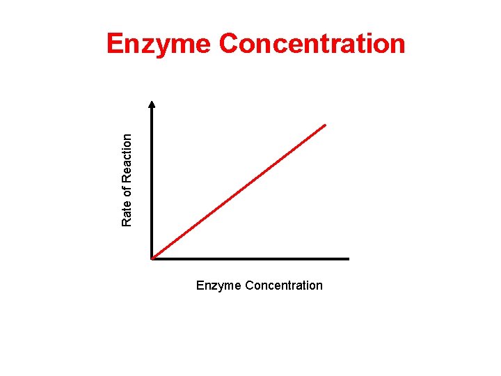 Rate of Reaction Enzyme Concentration  Rate of Reaction Enzyme Concentration