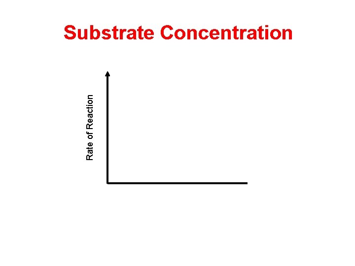 Rate of Reaction Substrate Concentration  Rate of Reaction Substrate Concentration