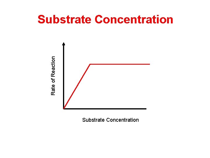 Rate of Reaction Substrate Concentration  Rate of Reaction Substrate Concentration