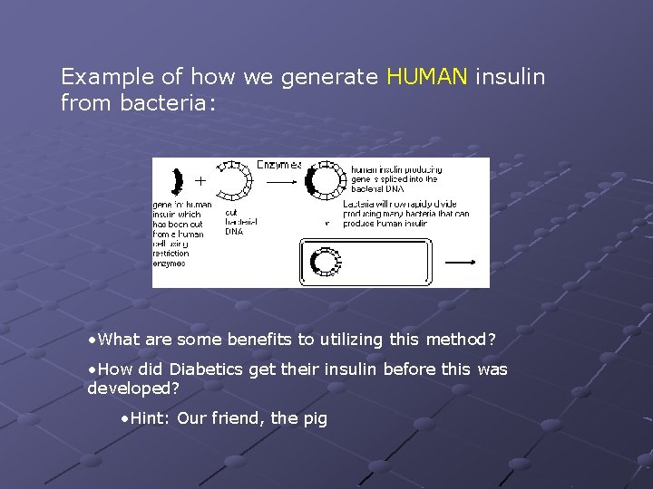 Example of how we generate HUMAN insulin from bacteria: • What are some benefits