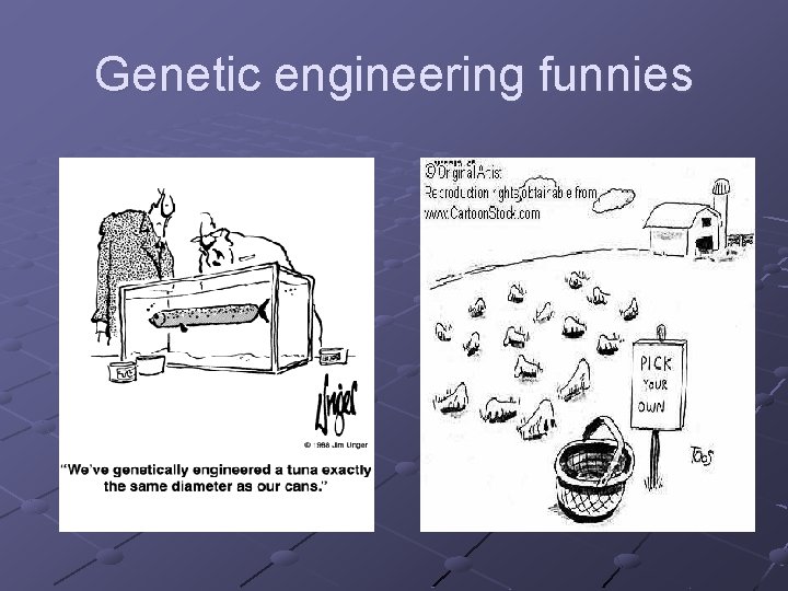 Genetic engineering funnies 