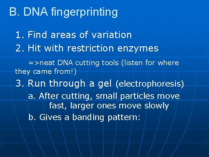 B. DNA fingerprinting 1. Find areas of variation 2. Hit with restriction enzymes =>neat