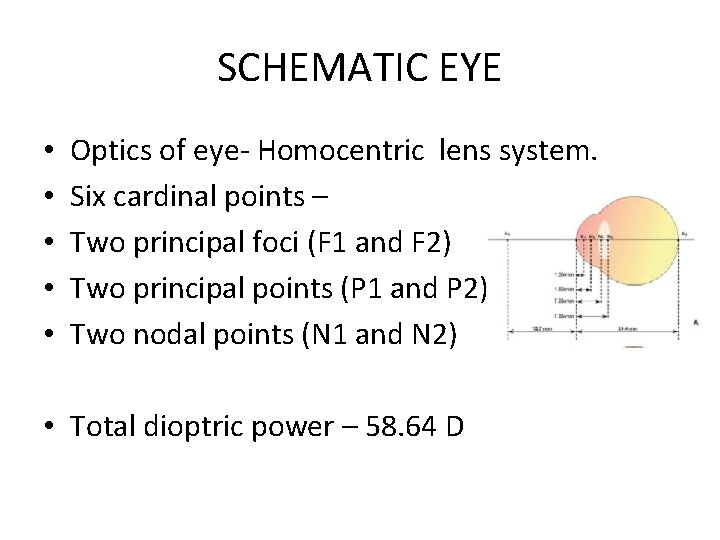 SCHEMATIC EYE • • • Optics of eye- Homocentric lens system. Six cardinal points