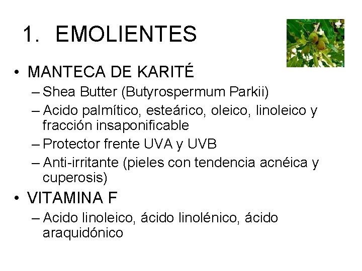 1. EMOLIENTES • MANTECA DE KARITÉ – Shea Butter (Butyrospermum Parkii) – Acido palmítico,