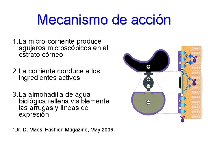 Mecanismo de acción 1. La micro-corriente produce agujeros microscópicos en el estrato córneo 2.