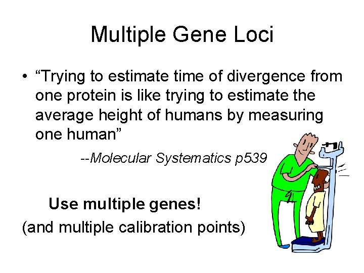 Multiple Gene Loci • “Trying to estimate time of divergence from one protein is