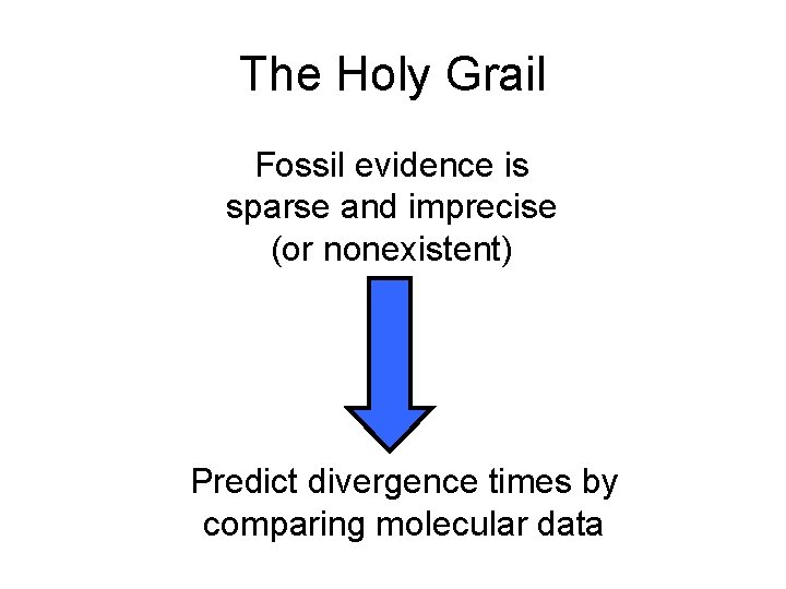 Molecular Clocks Rose Hoberman The Holy Grail Fossil