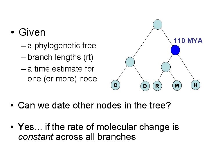  • Given – a phylogenetic tree – branch lengths (rt) – a time