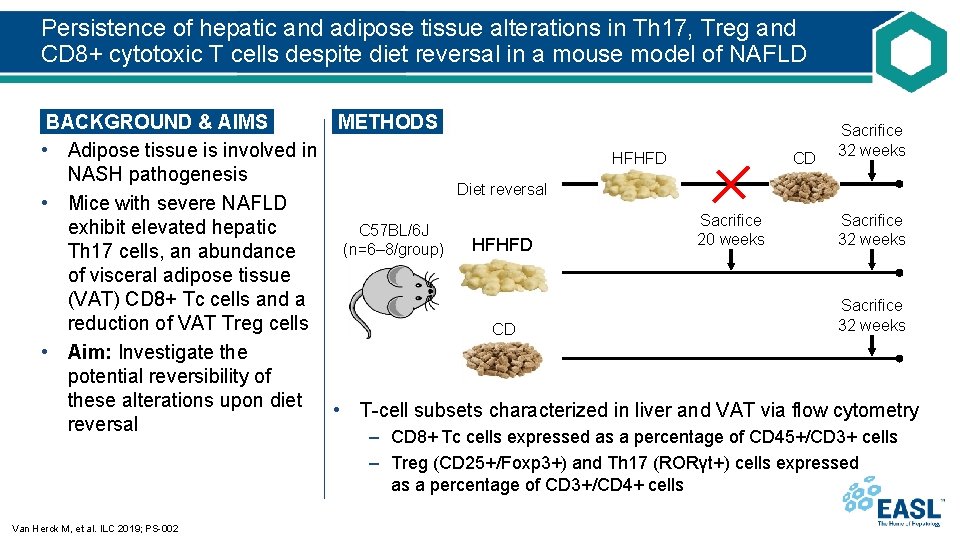 Persistence of hepatic and adipose tissue alterations in Th 17, Treg and CD 8+